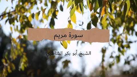 سورة مريم، للشيخ أبو بكر الشاطري.
