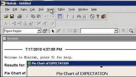 Qualitative Data Pie Bar Minitab