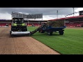 Fraise mowing a football pitch