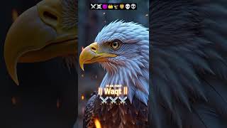 sfjejh70r57 26rcxjhfish. 1 m  000