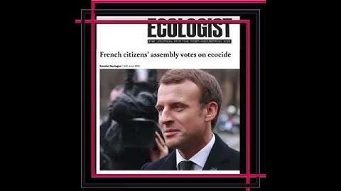 Help ecocide become an international crime