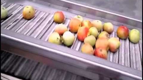 High Speed Fresh Apple Peeling Decoring & Splitting Machine