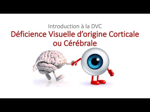 Vidéo: Pouvez-vous avoir une déficience visuelle corticale ?