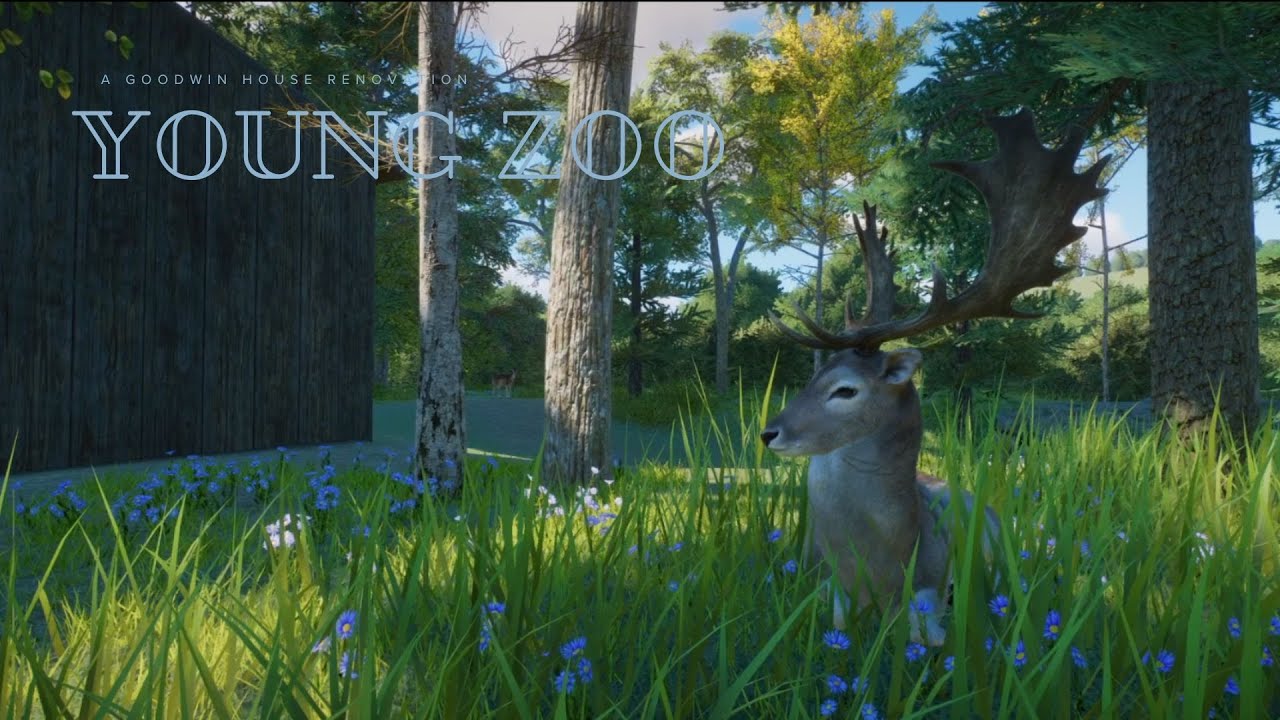 Natural Multi-Species Forest | Fallow Deer, Simple Backstage & Beautiful Vistas