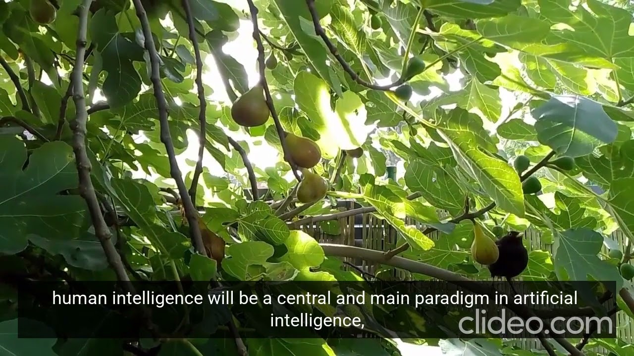 Ecosystem Pset "Birds Feed on Figs" - Pattern Recognition-Deduction HI, Human Intelligence in AI