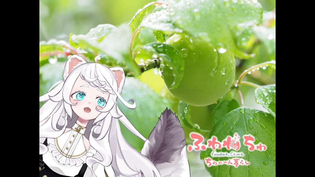 雑談】どんな夜をすごしているんだぃ？【 #ふわわちゎ 】#初見歓迎