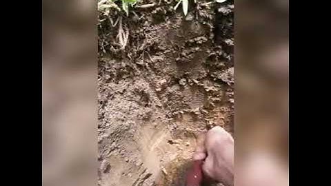 POZO DE OBSERVACIÓN Y METODO ORGANOLEPTICO SUELOS I