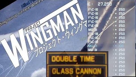 Project Wingman, PW-MK1 with 2.5x Damage