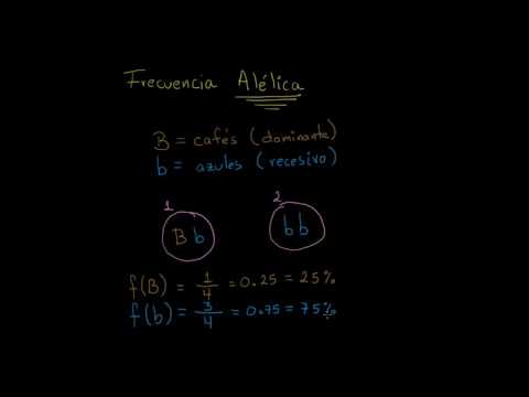 Video: ¿Cómo se calcula la frecuencia de los alelos?