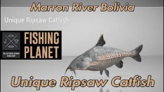 Unique Ripsaw Catfish - Marron River Bolivia - Fishing Planet