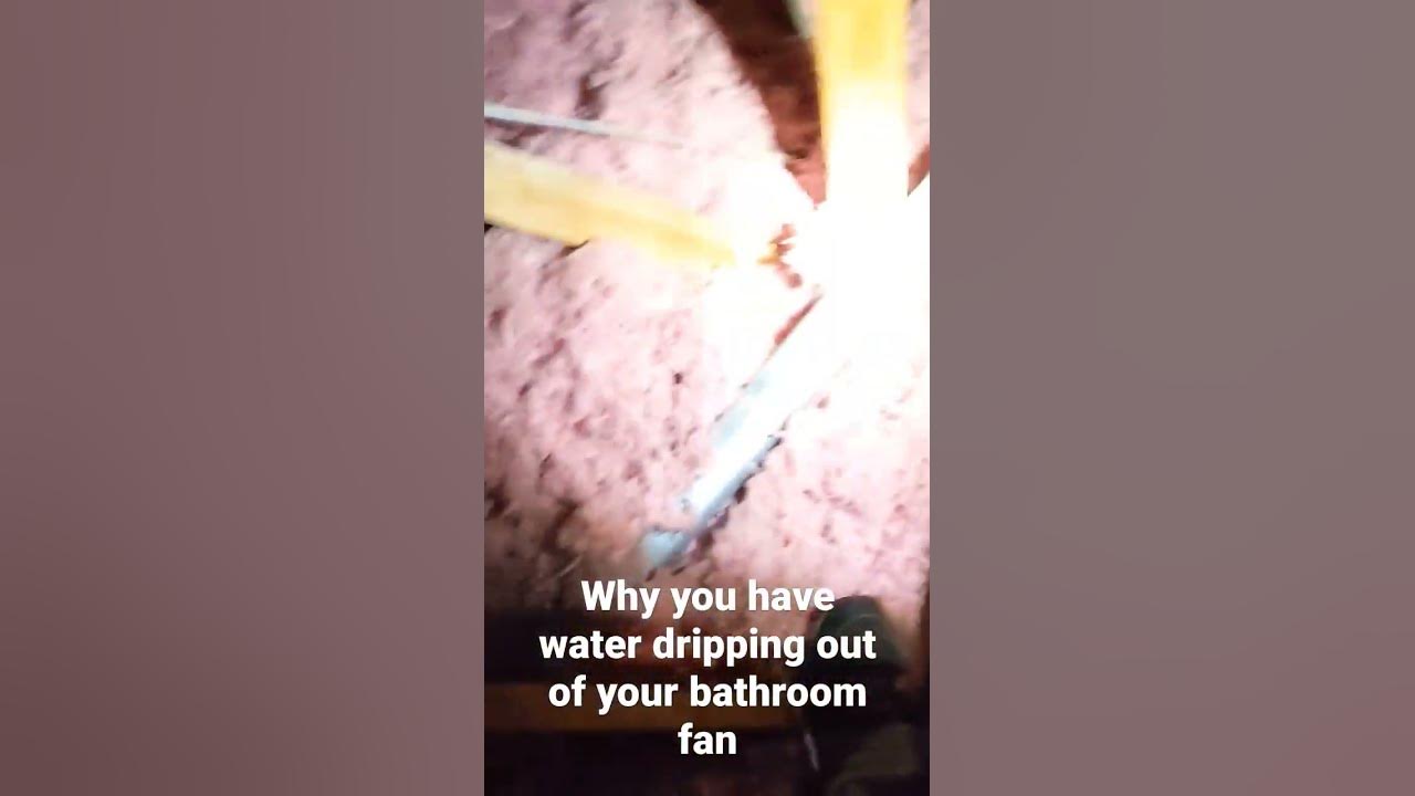 Why Your Bathroom Fan Is Dripping Water - YouTube