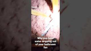 Why Your Bathroom Fan Is Dripping Water