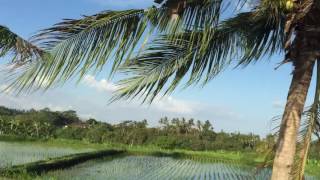 Bali-Lombok Project