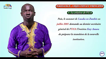 Quels sont les objectifs de l'Organisation de l'unité africaine ?