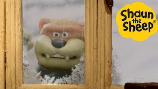 Shaun The Sheep 🐑 Cat In The Snow - Cartoons For Kids 🐑 Full Episodes Compilation [1 Hour]