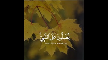 تلاوة هادئة وقصيرة   || القارئ : هيثم الدخين || سورة : الأحزاب 🌷💚🌷