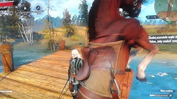 The Witcher 3 Funny Horse Bug