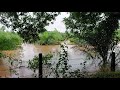 Flooding due to heavy rain between Seethanagaram and Allipalli - West Godavari - Andhra Pradesh