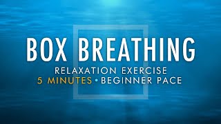 Box Breathing Relaxation Exercise | 5 Minutes Beginner Pace | Anxiety Reduction Pranayama Technique