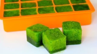 HowTo Make Spinach Pops (For Smoothies & Protein Shakes)
