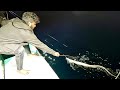 Deep Sea Fishing Videos