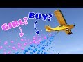 1,500 BALLS DROP!! Airplane Gender Reveal!  (BOY or GIRL)