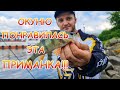 НАНОДЖИГ РУЛИТ!!! Ловля капризного окуня в жару.