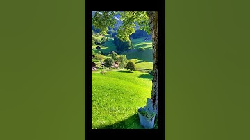 تلاوة من القرآن بصوت القارئ: جابر القيطان