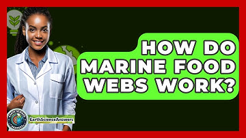 How Do Marine Food Webs Work? - Earth Science Answers
