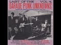 Last Of The Garage Punk Unknowns Volumes 3 & 4 (American Teenage Garage Hoot! 1965-1967)