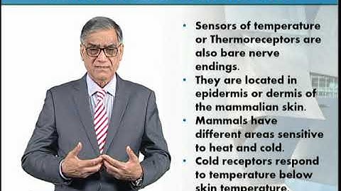 Skin Sensors of Heat and Cold | Animal Form & Function 1 (Theory) | ZOO516T_Topic080