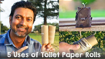 Can you put toilet rolls in compost?