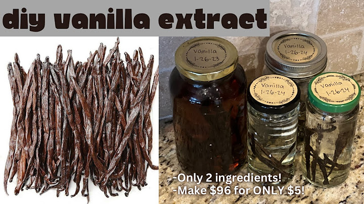 How to Make Vanilla Extract | ONLY 2 INGREDIENTS! (make $96 worth of vanilla for $5!!!)