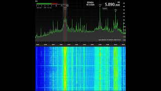 IRAN international TV 5890kHz [persian]