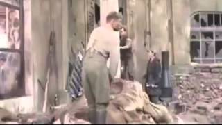 О фильме О фильме