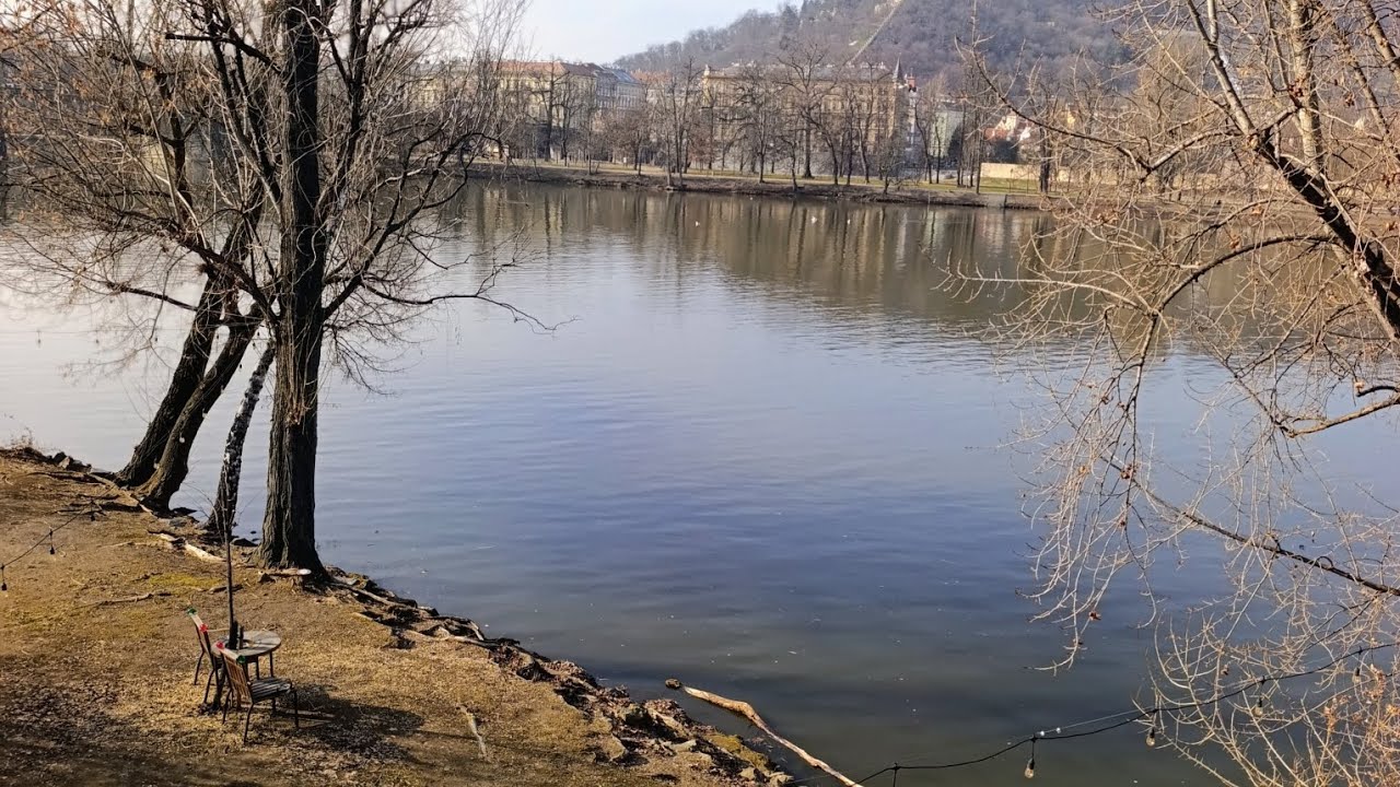 2739. НАБЕРЕЖНА лафонтен.