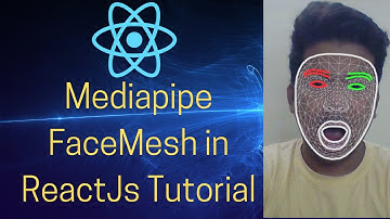 Mediapipe FaceMesh Landmarks in ReactJS #Mediapipe #Facemesh #reactjs