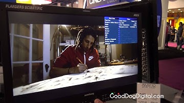 NAB 2015 Flanders Scientific AM210