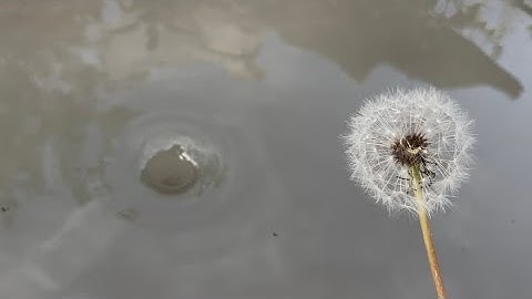 Amazing Water Vortex Experiments!? Whirlpool Hole vs Things