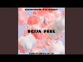 SGIJA FEEL (feat. Lowkey150, Ushaka, The Voc & Dj Nbjasta) (Radio Edit)