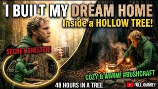 He Turned a Giant Tree Into a Hidden Survival Paradise