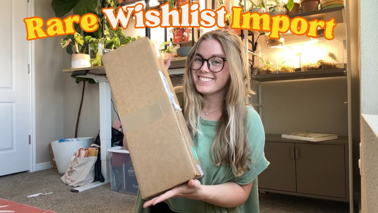 EXCITING WISHLIST New Rare Houseplant Haul 🤩 Unboxing Imported Houseplant Finds 2025 🤑