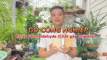 Tại sao nên lựa chọn sản phẩm gỗ công nghiệp có tiêu chuẩn E0, E1