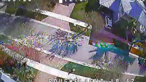 BabyHawk R made a Florida visit - FPV