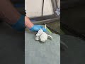 Hydro Dipping Angel #satisfyingvideo #hydrodipping #satisfying #fyp