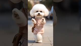 Dog Dancing