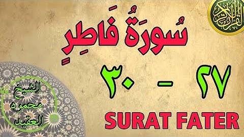 سورة فاطر | من الأية (٢٧) إلى الأية (٣٠) | مكررة ثلاث مرات | قناة الشيخ محمود العقيد