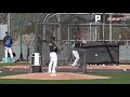 ファイターズ 王柏融のフリー打撃 