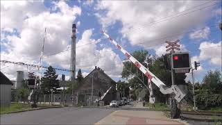 Sestřih natočených přejezdů 2021 / Czech Level Crossing 2021