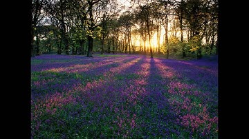 Ibrahim Jibreen - Surat Al-Mulk سورة الملك